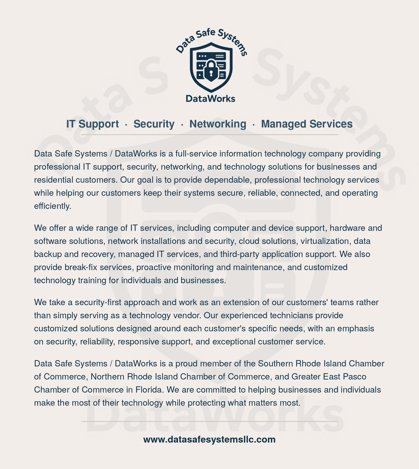 Data Safe Systems / DataWorks IT services